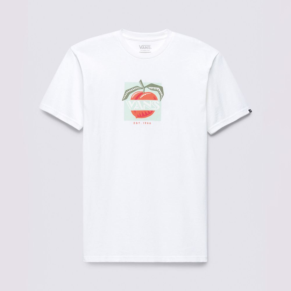 Camiseta-Manga-Corta-Blanca-Peachy-Ss-Tee-Hombre-Vans